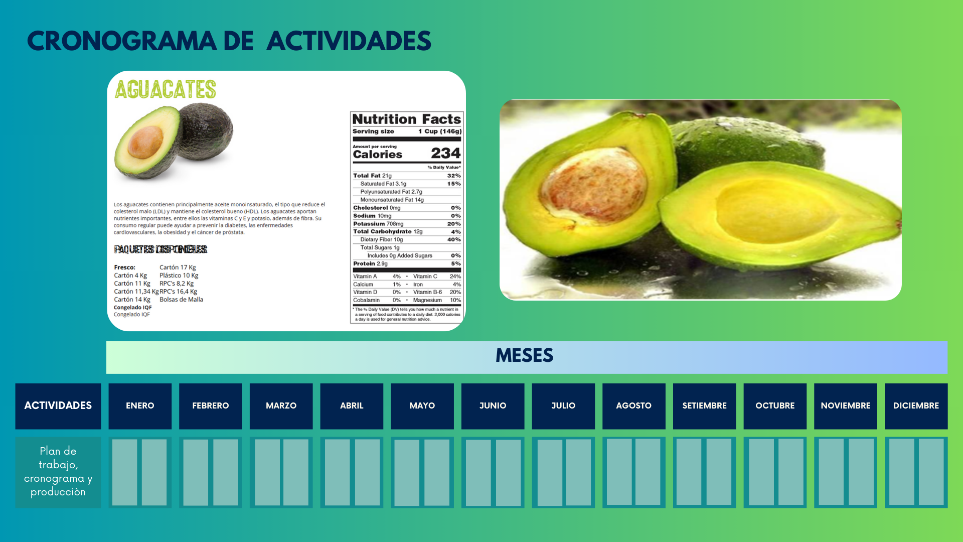Palta
